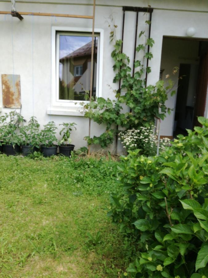 KEMP a stanování na faře Javorník Esterno foto